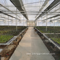 Greenhouse Seedbed Table Movable Rolling Bench